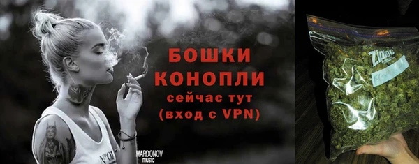 индика Белоозёрский