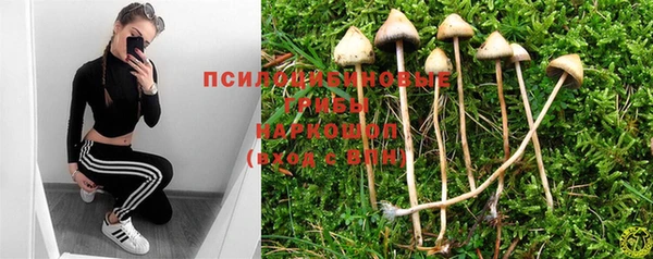 экстази Баксан