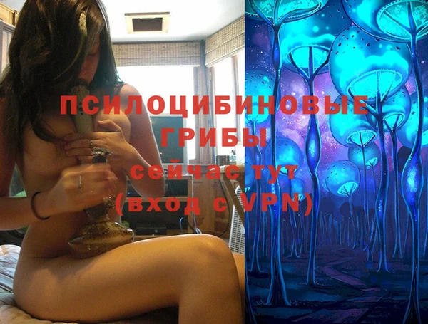ешки Балахна