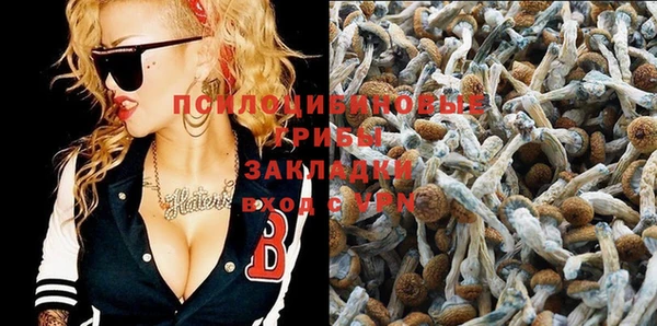 спайс Балабаново